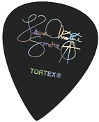 Laura Christine guitar pick